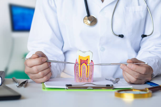 Best Emergency TMJ Treatment in Albion, NY